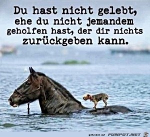 Du-hast-erst-dann-gelebt.jpg auf www.funpot.net