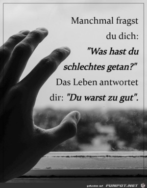 Was-hab-ich-Schlechtes-getan?.jpg auf www.funpot.net