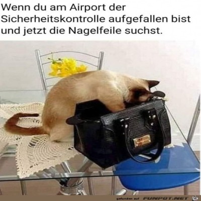 Wo-ist-das-Ding-nur.jpg von Lillian