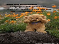 Dunkle Momente entgegne ich gelassen