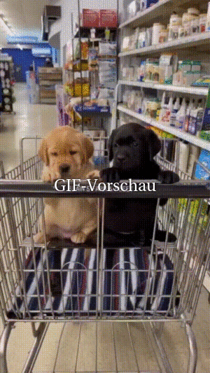 witziges Bild 'Es wird kalt' tausende Bilder auf FUNPOT