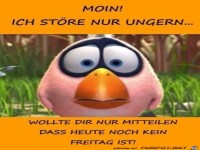 Moin, ich st�re nur ungern