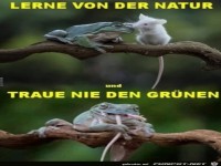 Lerne von der Natur...