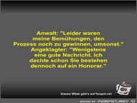 Anwalt: Leider waren meine Bemühungen