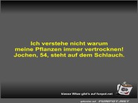 Ich verstehe nicht warum meine Pflanzen immer vertrocknen!