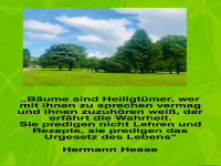 b�ume sind heiligt�mer