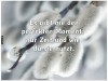 weiter