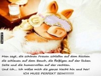 Lustige Schlafzitate mit humorvollem Schwein