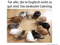 Die Katzencatering-Konferenz