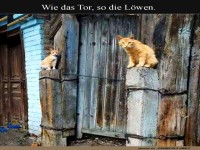 Die furchtlosen W�chter der Pforte