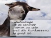 weiter