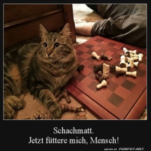Jetzt-mach-mein-Futter.jpg von Gabriel