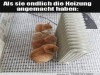 weiter