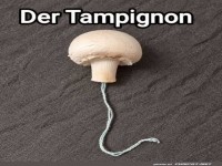 Ein Pilz, der Baumwolle liebt!