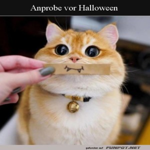 Probe-f�r-Halloween.jpg von Joeline