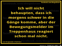 diegeilsten morgens