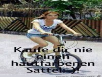 sattel