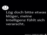 meine-intelligenz-fuehlt-sich-verarscht