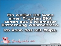 Ein wei�er Hai kann