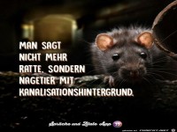 Man sagt nicht mehr Ratte
