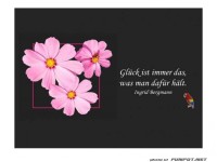 Glueck ist immer das