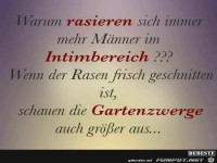 rasieren