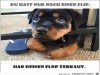 weiter