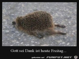 Begr&uuml;&szlig;ungsbild