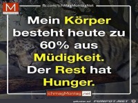 mein koerper
