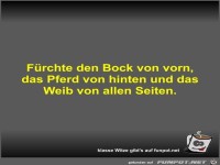 F�rchte den Bock von vorn