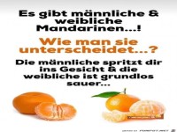 es gibt m�nnliche und weibliche Mandarinen