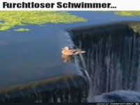 Schwimmen am Limit