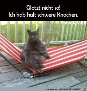 Schwere-Knochen.jpg auf www.funpot.net