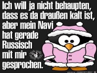 Mein Navi