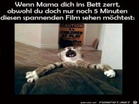 Ich will den Film noch fertig sehen