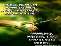Lieber Mensch