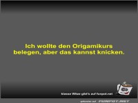 Ich wollte den Origamikurs belegen