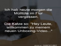 Katze macht Unboxing mit M�llt�te