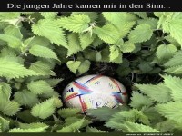 Vergessener Ball in der Natur