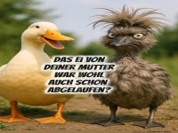 Wenn Enten den Bad Hair Day haben...