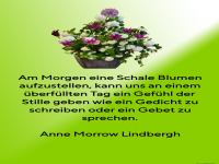 am morgen eine schale blumen aufzustellen