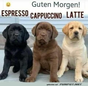 Guten-Morgen.jpg auf www.funpot.net