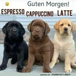 Guten-Morgen.jpg von Brandon