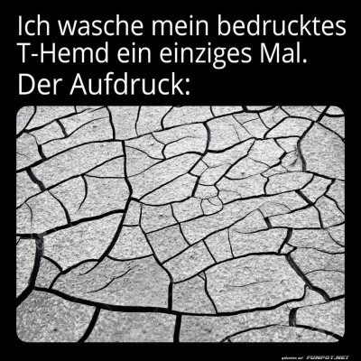 T-Shirt-Druck:-Einmal-gewaschen,-nie-gesehen!.jpg von Leona