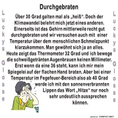 Durchgebraten.jpg von lucky