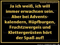 diegeilsten erwachsen