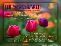 Aufmerksamkeit
