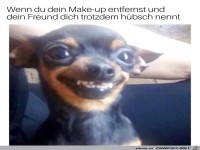 Make up
