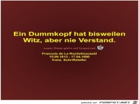 Ein Dummkopf hat bisweilen
Witz