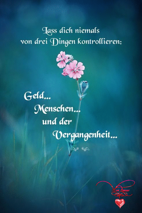 Lebensweisheiten '10 schöne Sprüche und Lebensweisheiten aus...'